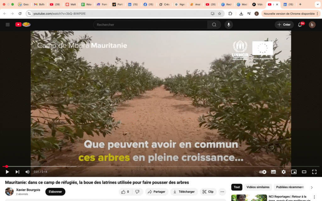 Montage video