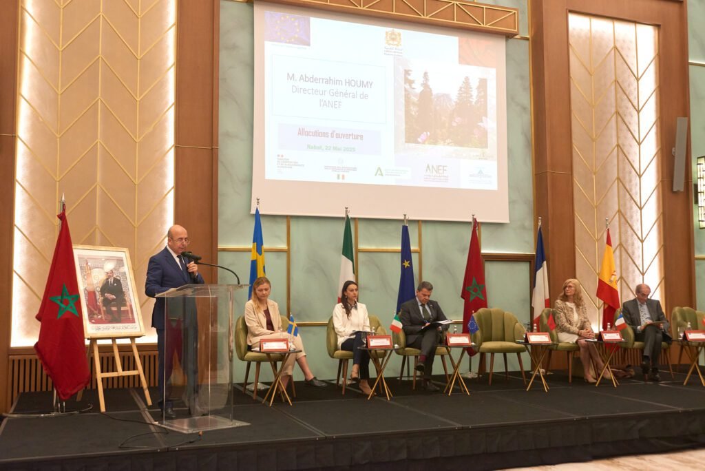 Jumelage Institutionnel ANEF – UE Maroc